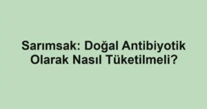 sarimsak-dogal-antibiyotik-olarak-nasil-tuketilmeli.webp